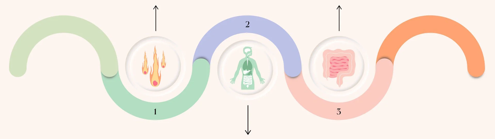 Inflammation Pro's 3-phase approach