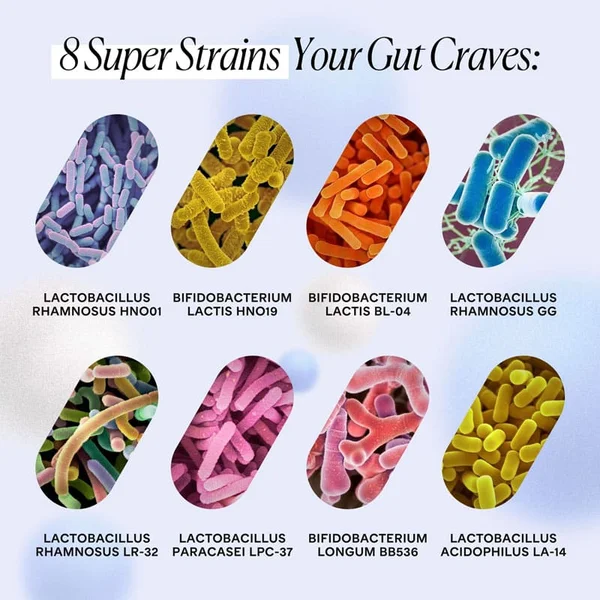 Synbiotic Complete with capsules